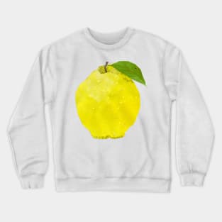 Quince Crewneck Sweatshirt